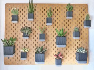 skadisbloom wall planters